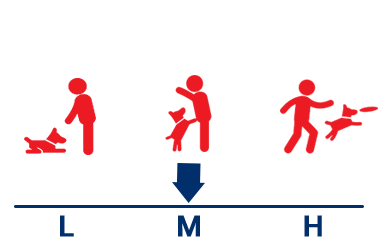 Activity Level